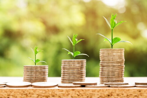 a stack of gold coins growing like a plant | commercial collection agency